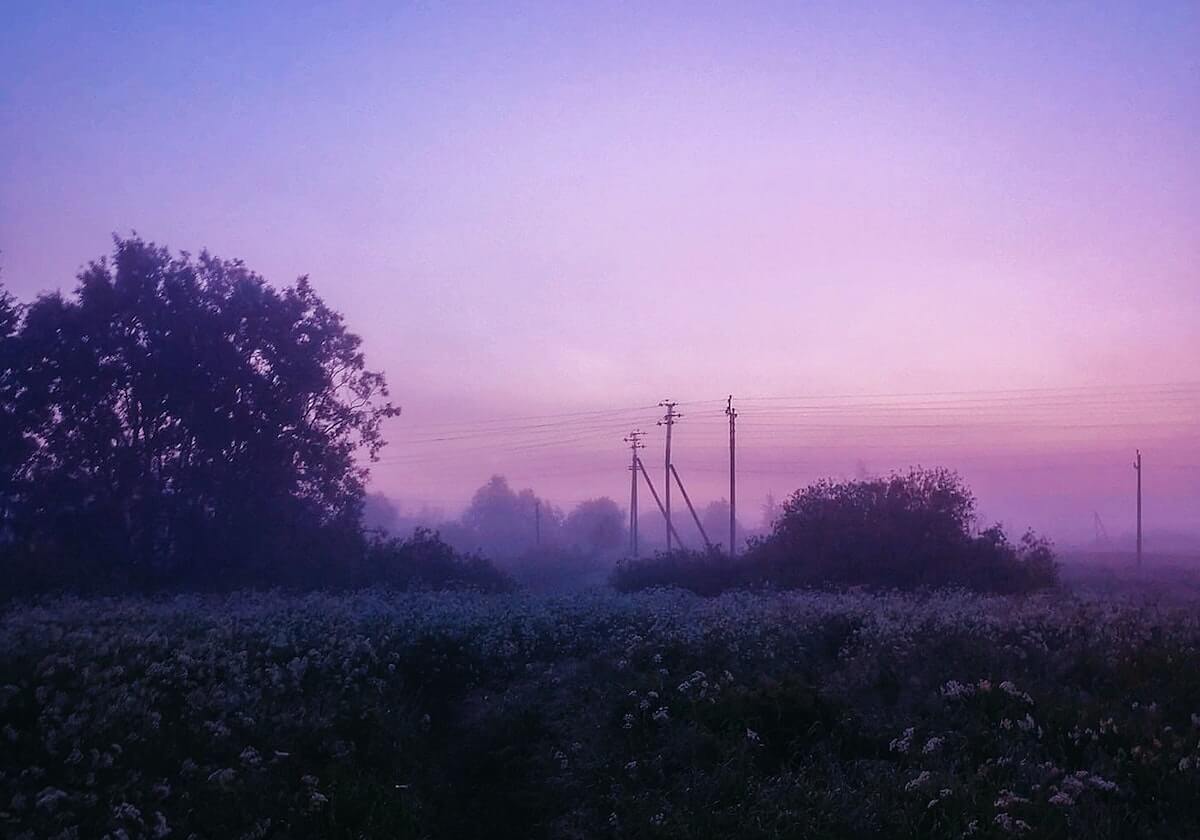 星空体育运营团队-男子100米蛙泳A组决赛 董志豪与郑英昊并列冠军